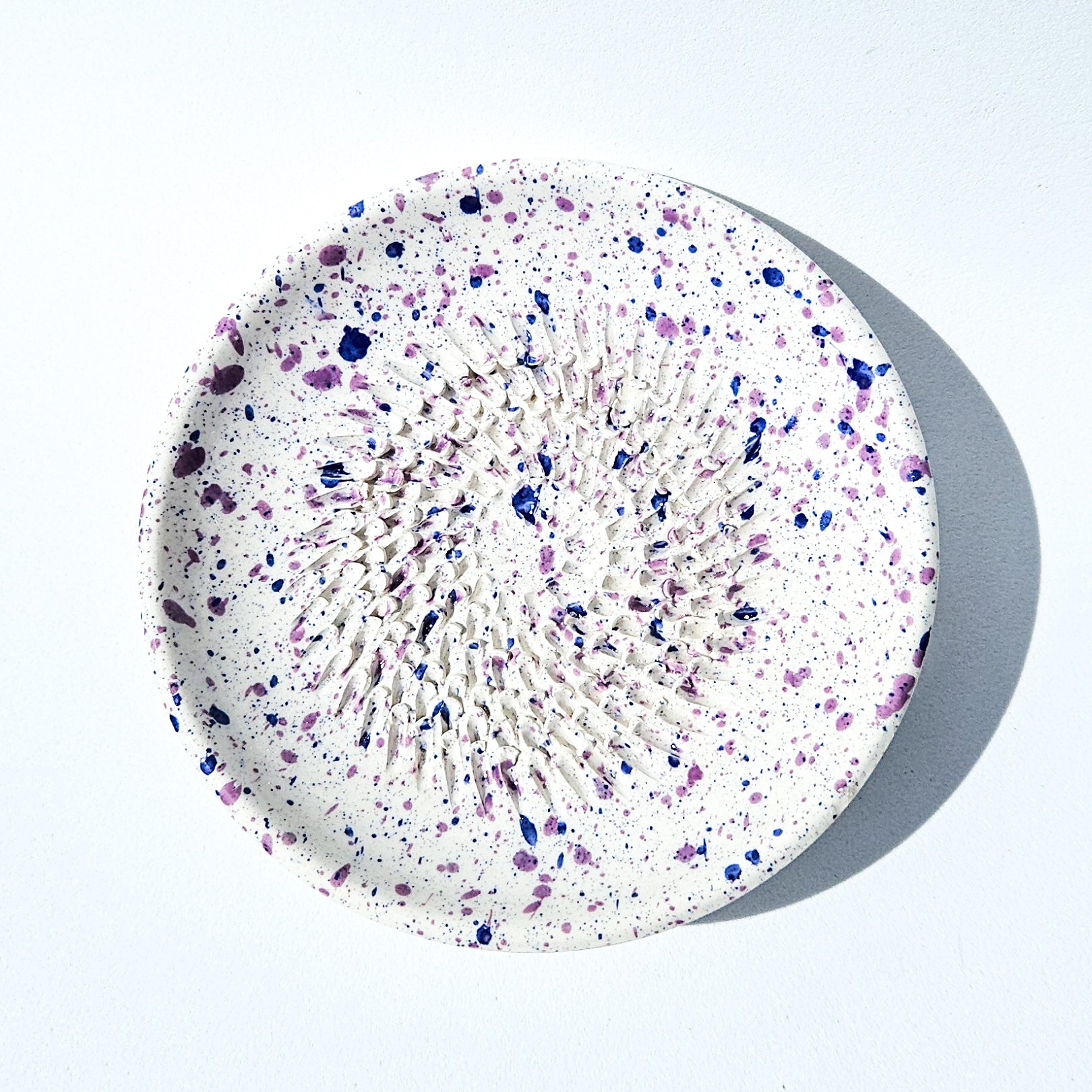 Plato Rallador Puntos