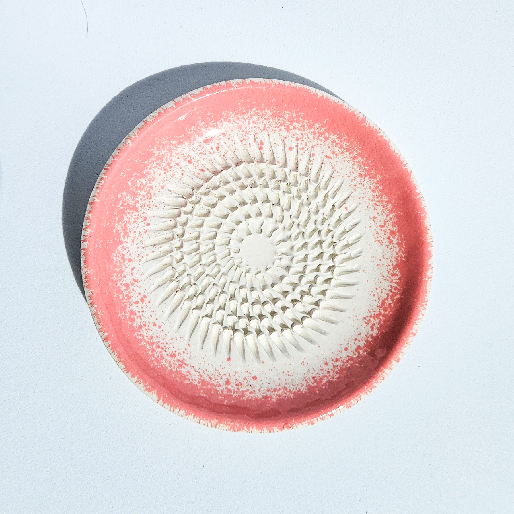 Plato Rallador Borde Infinito